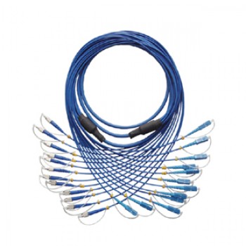 12 Fibers Armored Patch cord