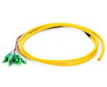12 Color LC APC fiber Pigtail Bunch 12 Core 12 Fiber Bunch 9/125 Single Mode