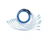 6 Fibers Armored Patch cord